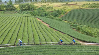 Giải vô địch xe đạp quốc gia 2026: Mô hình điểm phát triển thể thao gắn với du lịch tại Lào Cai