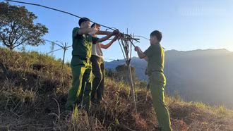 Công an xã Gia Hội kịp thời ngăn chặn hoạt động bẫy chim trời trái phép