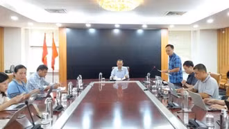 Tăng cường giám sát, ngăn chặn dịch tả lợn châu Phi lan rộng