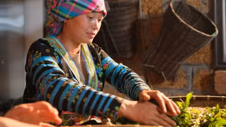 Phụng Trà Tinh Sương: Hành trình đưa hương trà cổ thụ đến gần hơn với giới trẻ