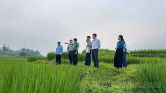 Học và làm theo Bác ở Hợp Thành: Tạo chuyển biến từ cơ sở