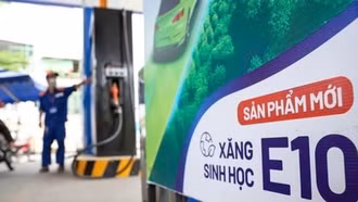 Chủ động nguồn nguyên liệu để triển khai xăng sinh học E10