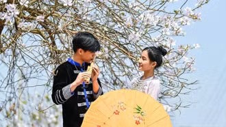 Định hình hình ảnh Việt Nam trên trường quốc tế