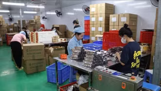 Triệt phá đường dây thực phẩm chức năng giả quy mô lớn tại Quảng Ninh