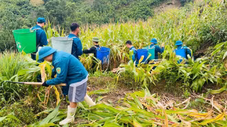 Xã Bản Liền: Gần 70 cán bộ, dân quân tự vệ hỗ trợ người dân khắc phục hậu quả thiên tai