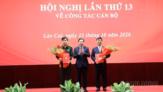 Hội nghị lần thứ 13 Ban Chấp hành Đảng bộ tỉnh về công tác cán bộ