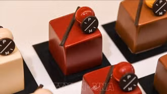 Các nhà sản xuất chocolate châu Âu vẫn lao đao sau cơn sốt giá ca cao
