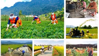 Kiện toàn thành viên Ban Chỉ đạo Trung ương các chương trình mục tiêu quốc gia 2021 - 2025