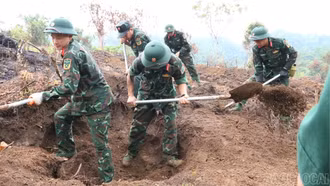Phê duyệt thành viên Ban Chỉ đạo quốc gia về tìm kiếm, quy tập và xác định danh tính hài cốt liệt sĩ