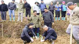 Bắc Hà phát động trồng cây chanh leo vàng trong khuôn khổ dự án giảm nghèo năm 2025