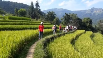 Phát triển du lịch - nông nghiệp: 'cơ hội vàng' để địa phương bứt phá