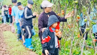 Định hình thương hiệu du lịch xanh