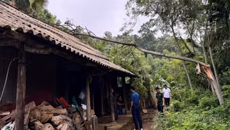 Khẩn trương hỗ trợ người dân khắc phục hậu quả dông lốc và mưa lớn