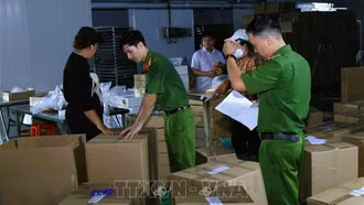 Triệt phá đường dây sản xuất, buôn bán thịt bò giả quy mô lớn