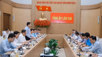 Ban Thường vụ Tỉnh ủy làm việc với Tập đoàn Công nghệ CMC