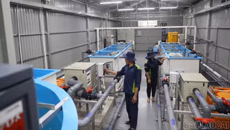 Tiếp cận cơ sở nuôi cá nước lạnh RAS đầu tiên của Lào Cai