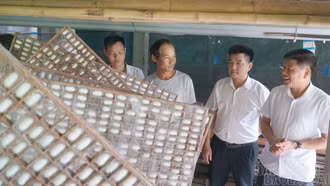 Khi nghị quyết chi bộ đi vào cuộc sống