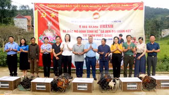 Bắc Hà ra mắt mô hình sinh kế “Gà đen đại đoàn kết” gắn với chuyển đổi số và truy xuất nguồn gốc QR-Code