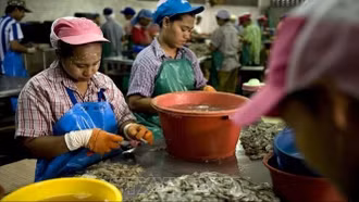 Thái Lan gia hạn thời gian làm giấy phép lao động cho người lao động Lào, Myanmar, Việt Nam