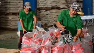 Ứng phó với diễn biến phức tạp của thị trường thế giới