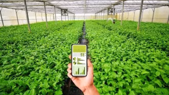 Khi hợp tác xã chuyển đổi số