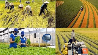 Chính sách mới có hiệu lực từ tháng 1/2026