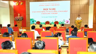 Tốc độ tăng tổng sản phẩm nông, lâm nghiệp, thủy sản trên địa bàn tỉnh ước đạt 5,3%