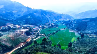 Ngày mới ở Ao Ếch