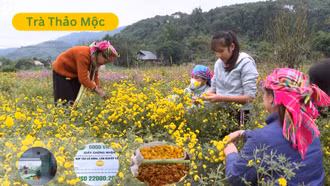 Mô hình kinh tế xanh tại Văn Bàn