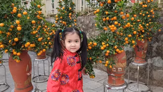 Phường Cam Đường tổ chức 3 điểm hội chợ hoa xuân