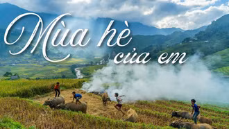Mùa hè của em