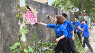 Siết chặt quản lý quảng cáo rao vặt: Kiên quyết xử lý nghiêm vi phạm