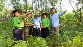 “Cánh tay nối dài” bảo vệ lá phổi xanh