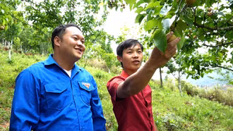 Kiên trì tạo thành công