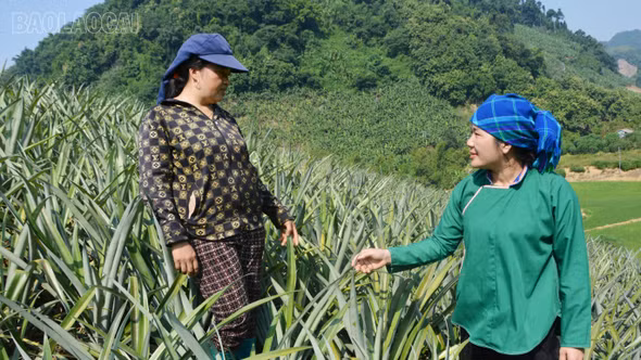 Phát huy vai trò “hạt nhân” của bí thư chi bộ