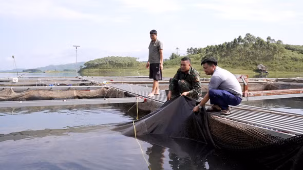Phát triển thủy sản ở Tân Lĩnh: Cần gỡ những điểm nghẽn