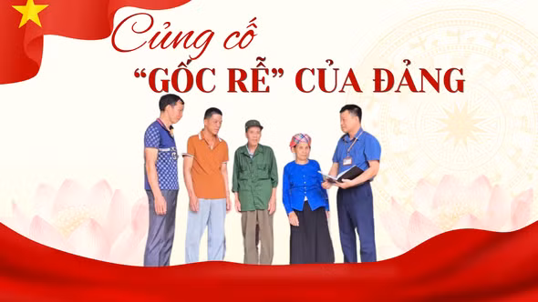 Củng cố "gốc rễ" của Đảng