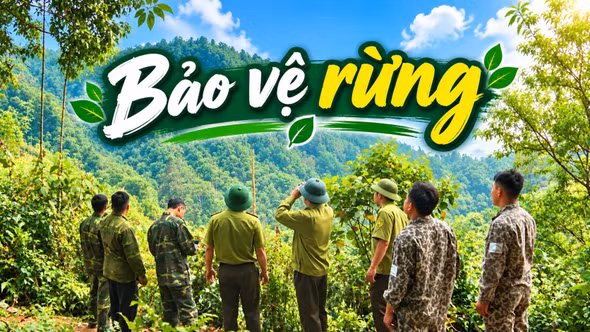 Những người giữ màu xanh cho đại ngàn