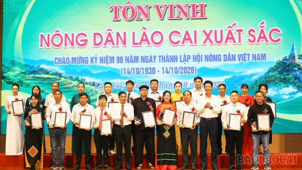 Tôn vinh 96 “Nông dân Lào Cai xuất sắc” năm 2026