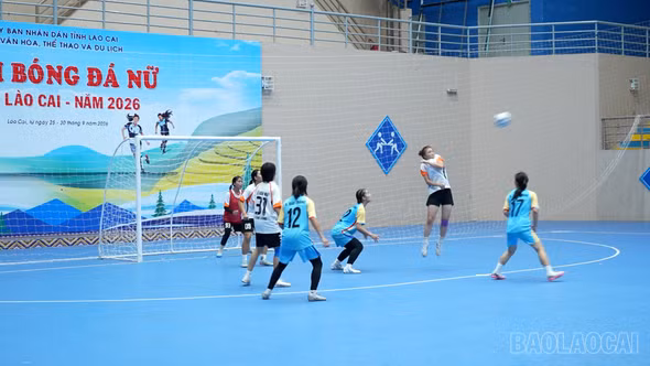 8 đội bóng tranh tài tại Giải Bóng đá nữ tỉnh Lào Cai năm 2026