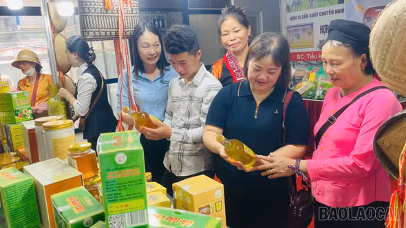 Lào Cai giới thiệu 98 sản phẩm đặc trưng tại Hội chợ Làng nghề Việt Nam 2026