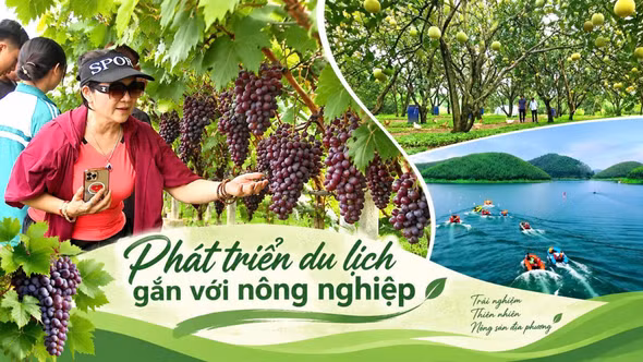 Phát triển du lịch gắn với nông nghiệp