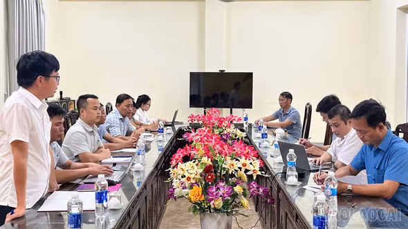 Lào Cai: Khẩn trương kiểm soát dịch tả lợn châu Phi tại xã Khánh Hòa
