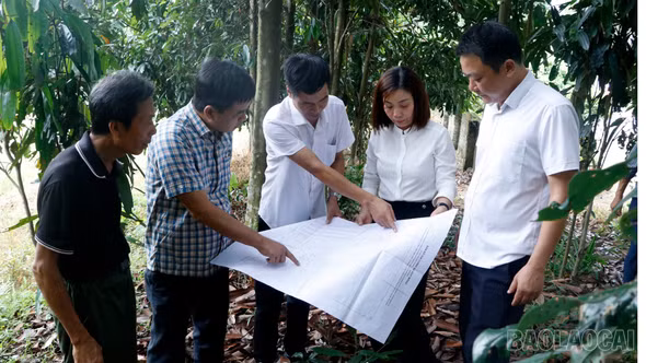 Quy Mông đẩy nhanh giải phóng mặt bằng tuyến đường sắt Lào Cai - Hà Nội - Hải Phòng