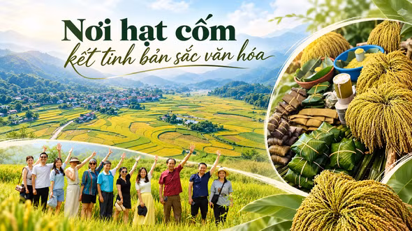 Nơi hạt cốm kết tinh bản sắc văn hóa