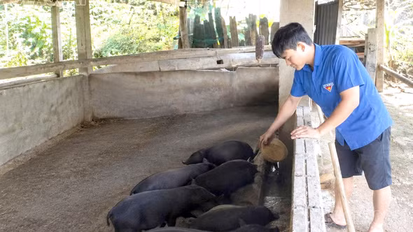 Vốn ưu đãi tiếp sức thanh niên Khao Mang khởi nghiệp