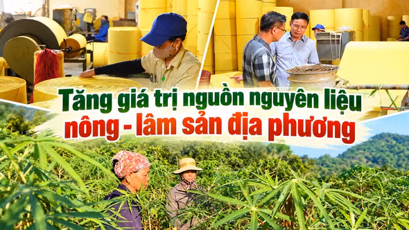Tăng giá trị nguồn nguyên liệu nông - lâm sản địa phương