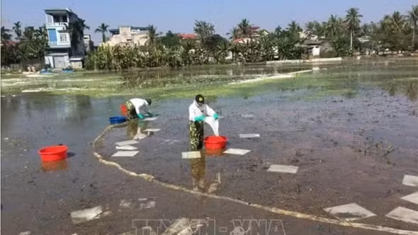 Chỉ thị của Bộ Chính trị về bảo đảm an ninh môi trường trong thời kỳ phát triển mới