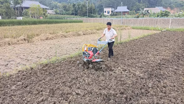 Lâm Thượng tăng tốc sản xuất vụ đông, bảo đảm khung thời vụ