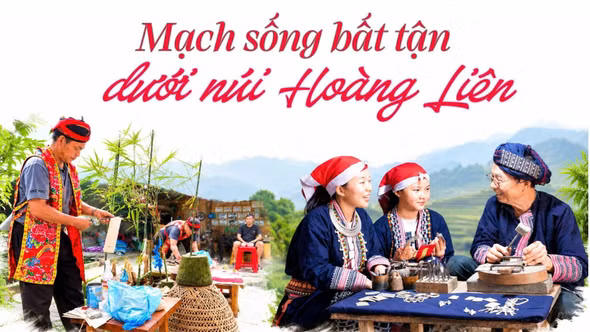 Mạch sống bất tận dưới núi Hoàng Liên